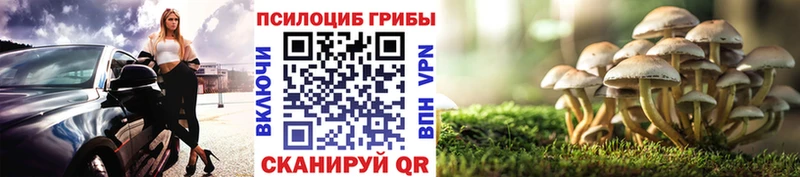 OMG   наркота  Рыбинск  Псилоцибиновые грибы прущие грибы 